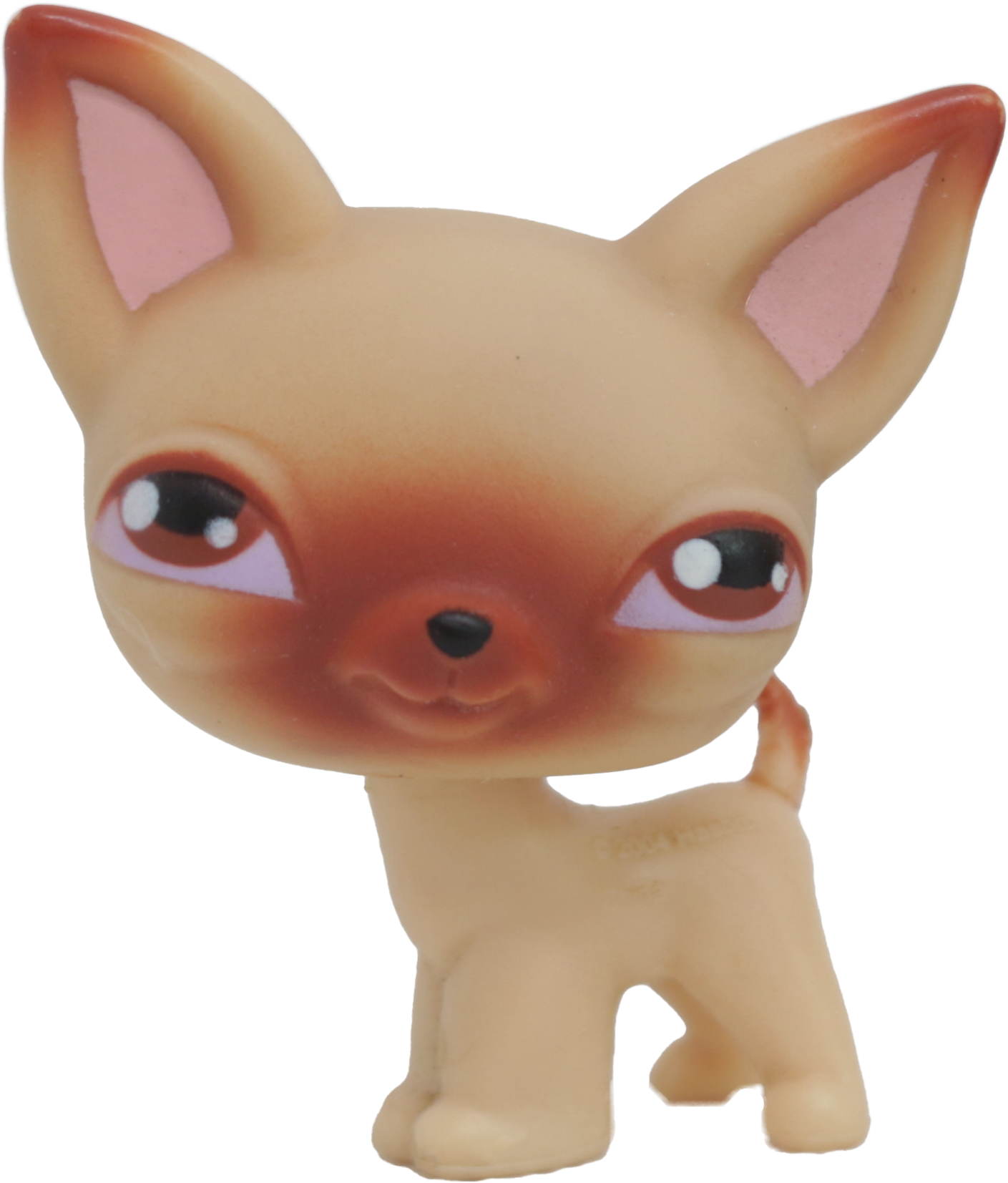 Authentic Littlest Pet Shop #1571 Chihuahua Dog / Original Hasbro LPS Authentic Littlest Pet Shop #1571 Chihuahua Dog / Original Hasbro LPS