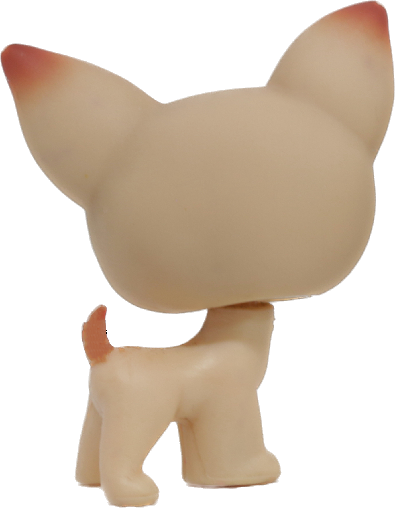 #0001 Chihuahua