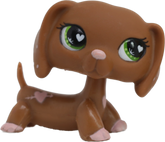 #0556 Dachshund