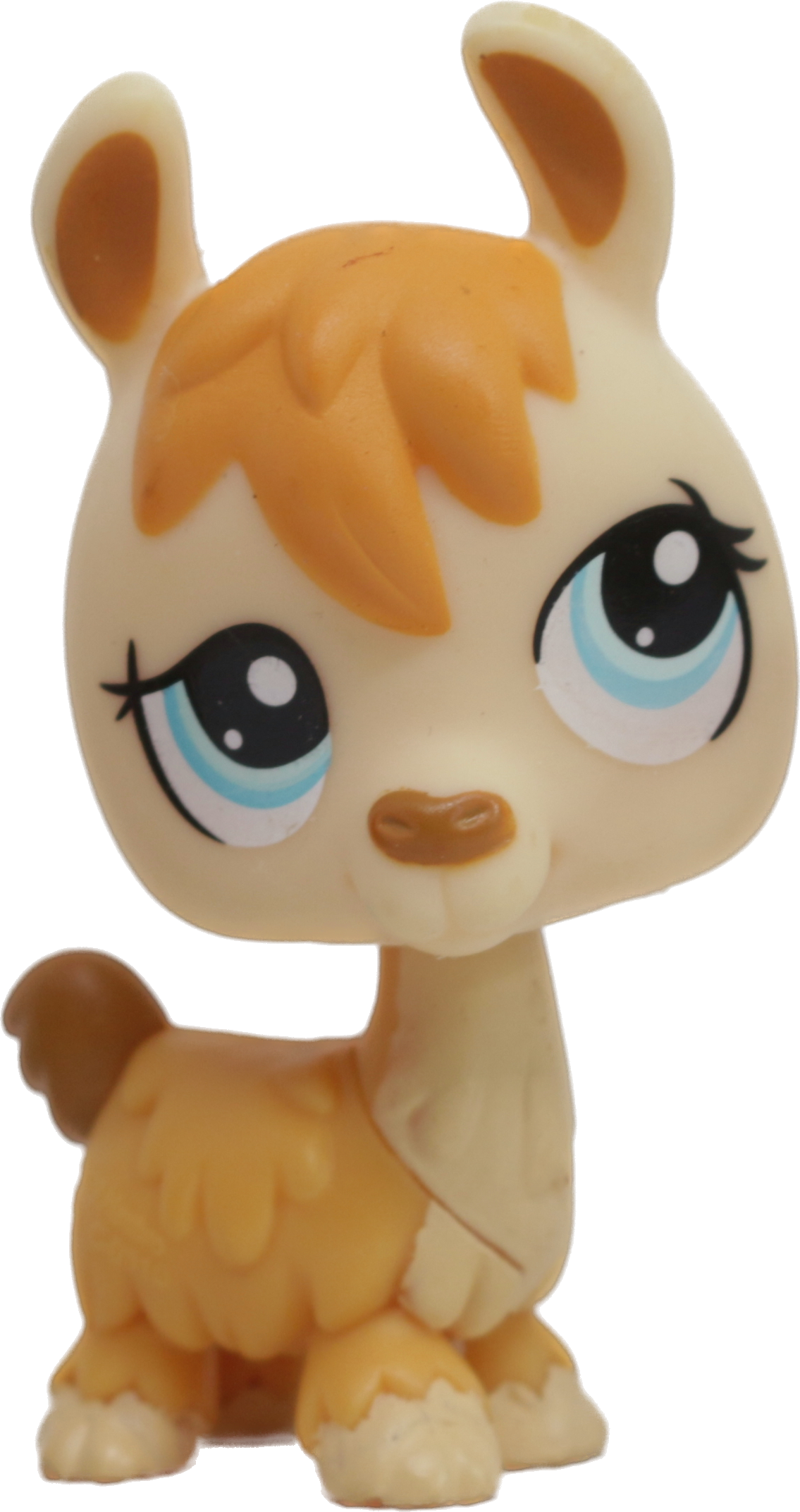 #1460 Llama