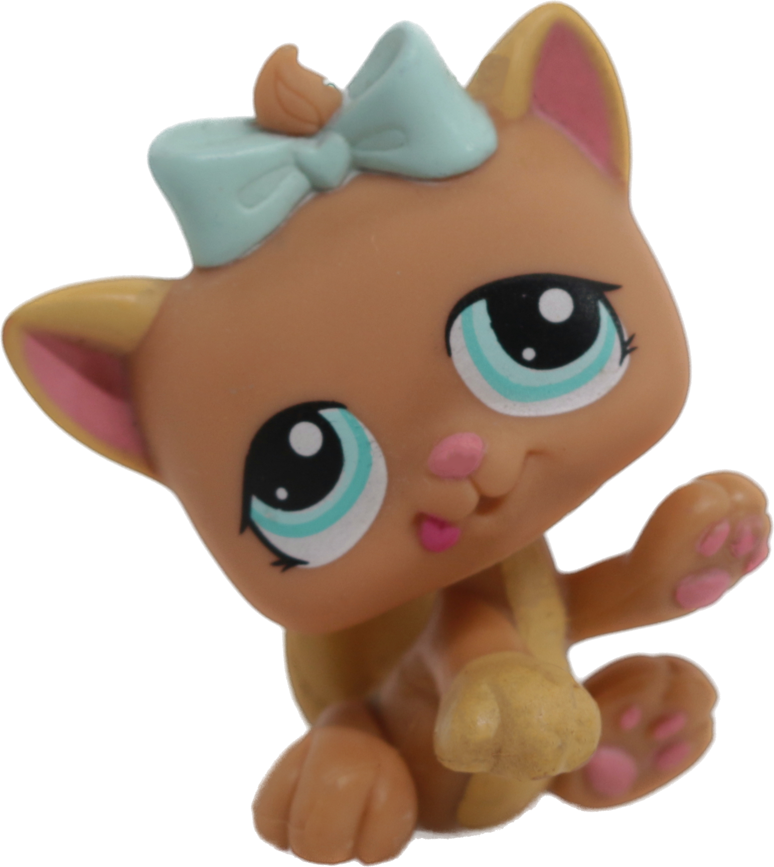 #1335 Kitten
