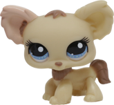 #1171 Chihuahua