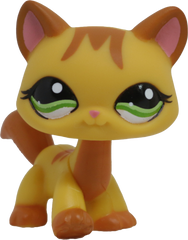#1137 Destiny Cat