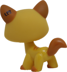 #1137 Destiny Cat