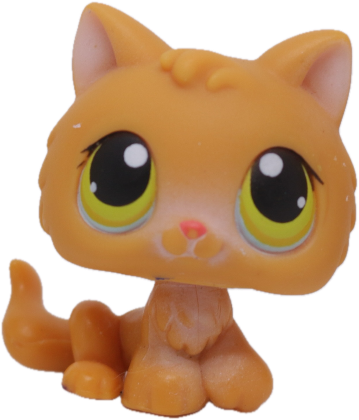 #0086 Kitten