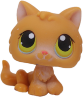 #0086 Kitten
