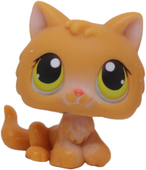 #0086 Kitten