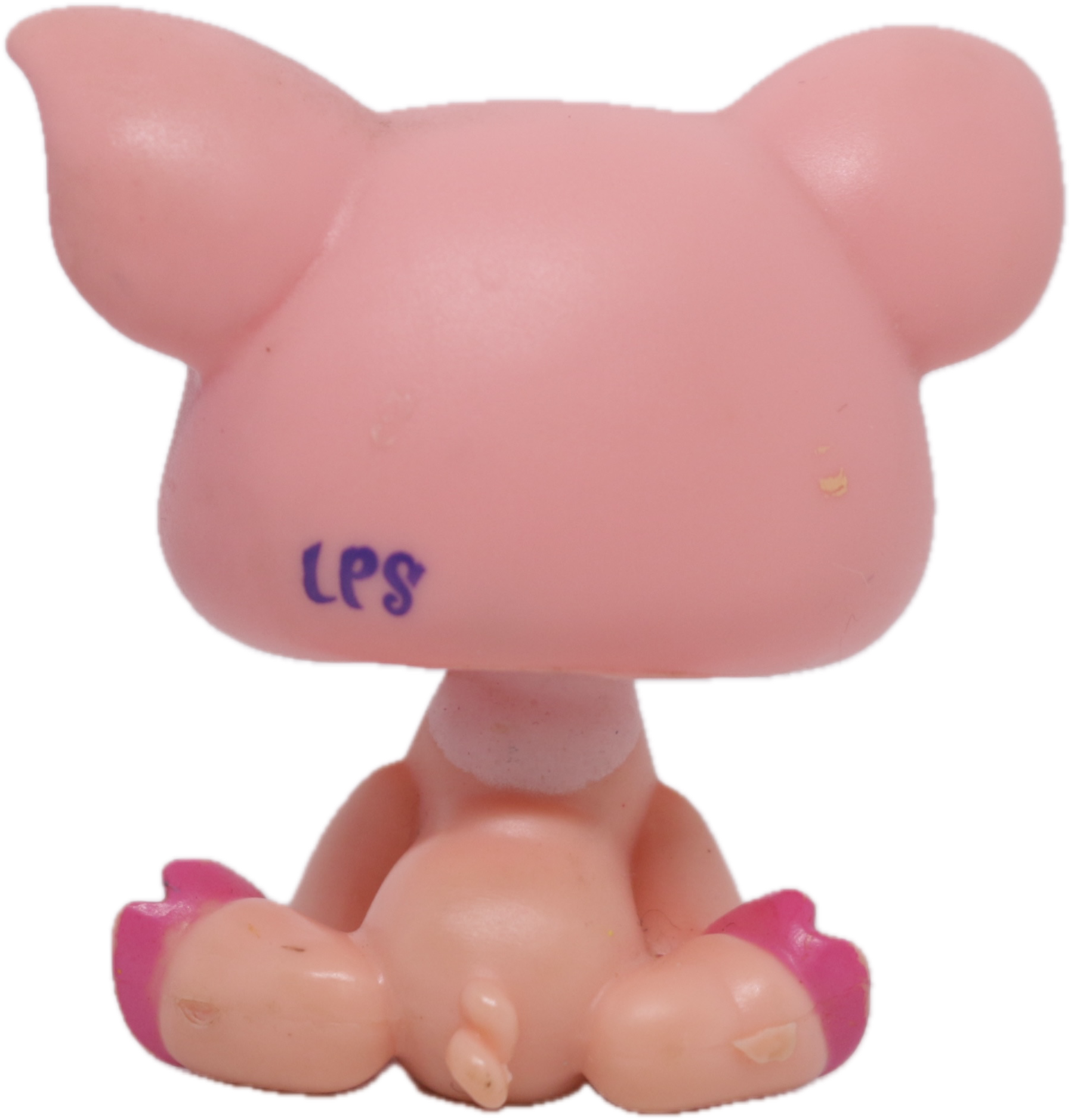 #2205 Pig