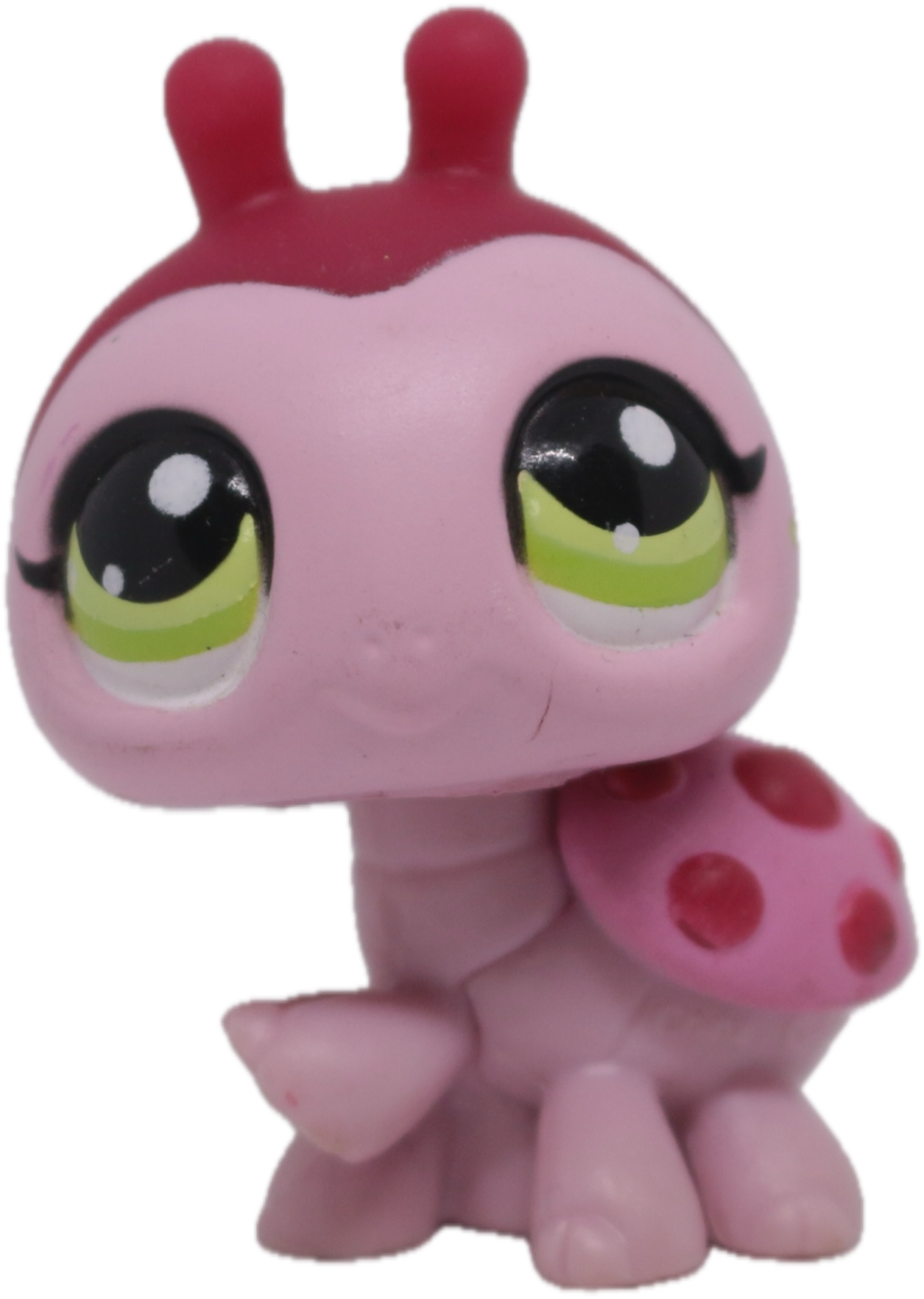 #1474 Ladybug