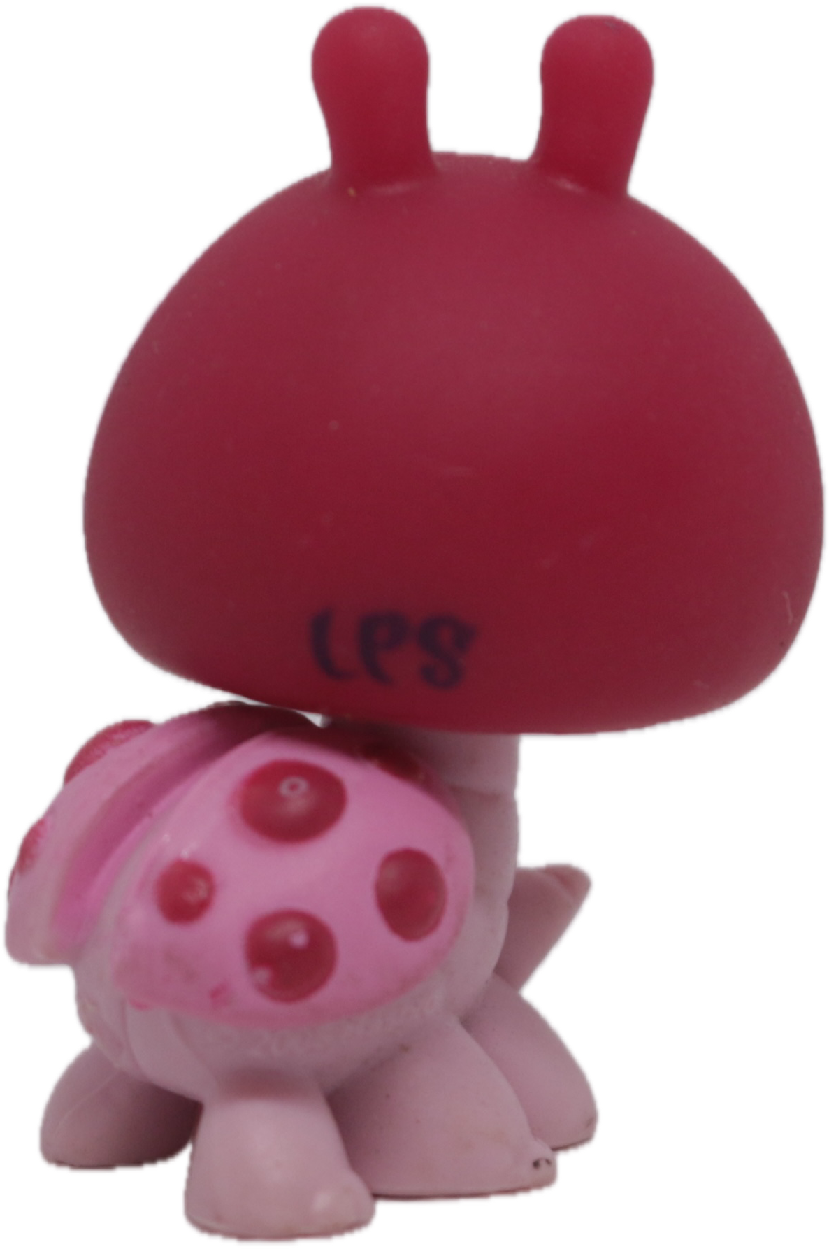 #1474 Ladybug
