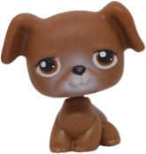 #0173 Boxer
