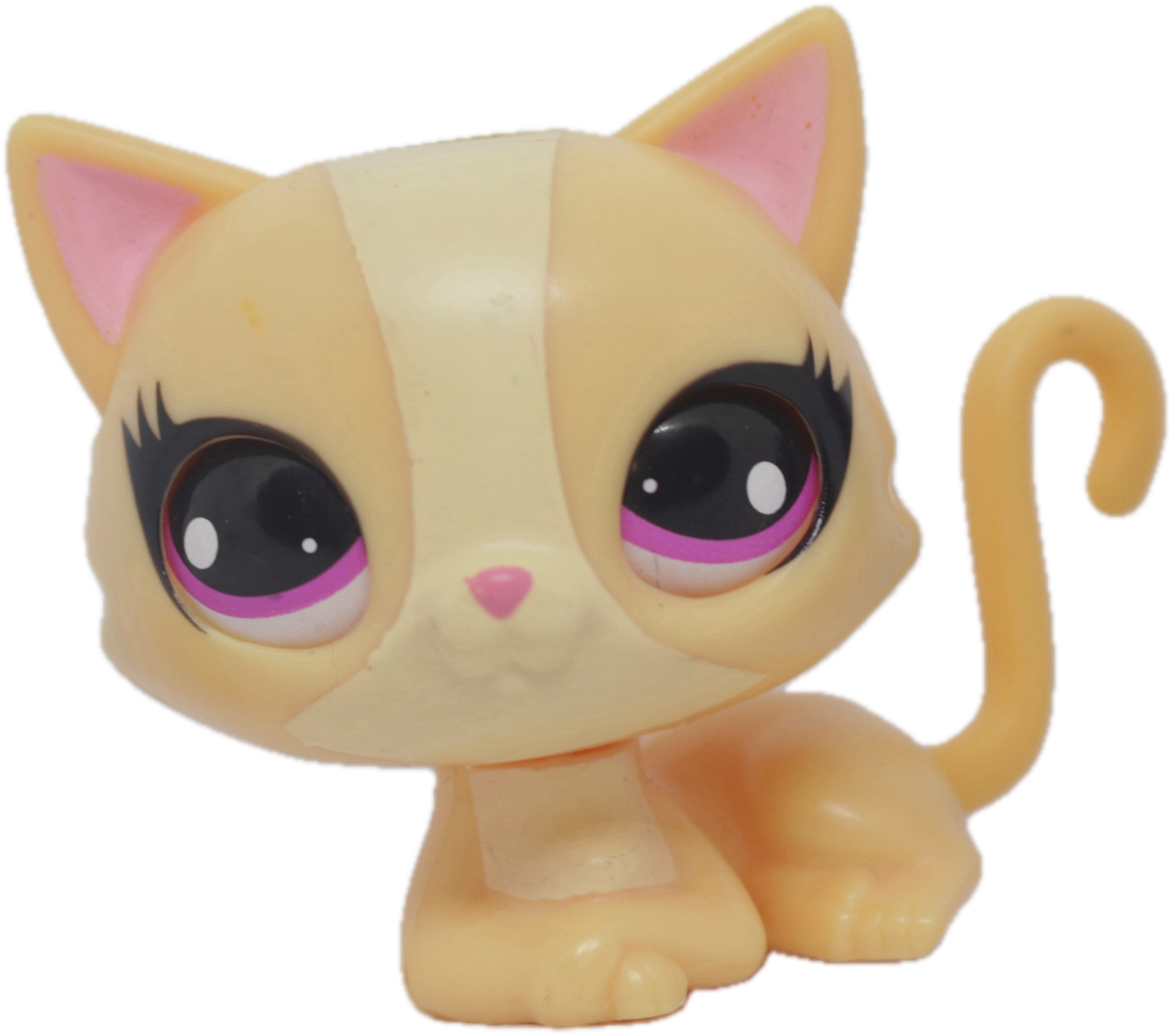 #3360 Sitting Cat
