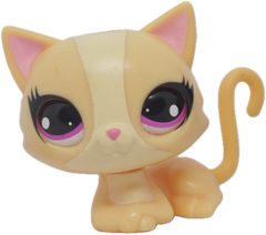 #3360 Sitting Cat