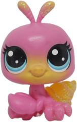 #1-69 Hermit Crab "Sunny Hiddencrab"