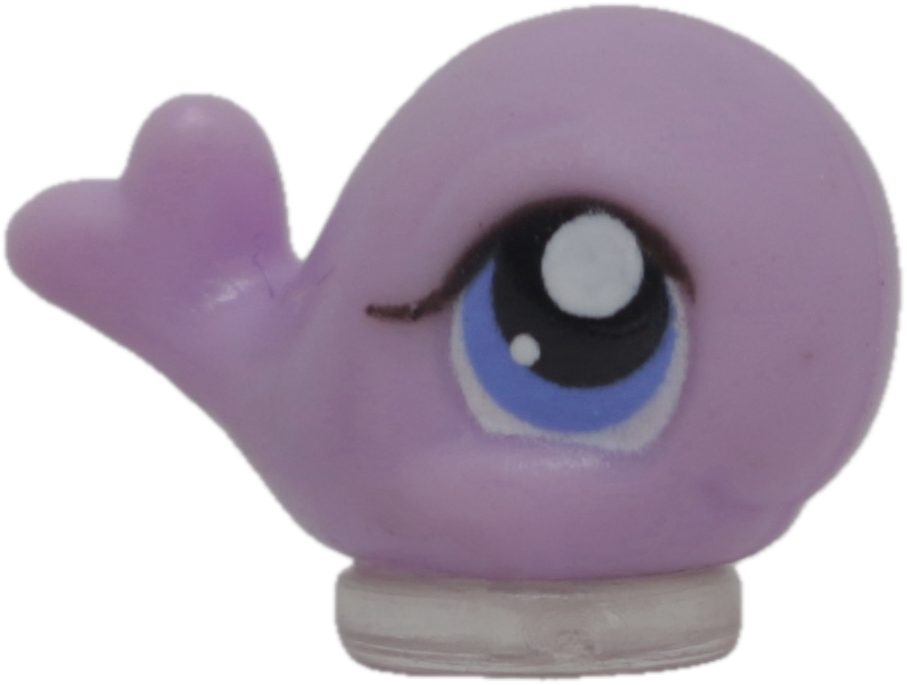 #T6 Teensiest Whale