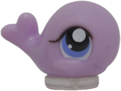 #T6 Teensiest Whale