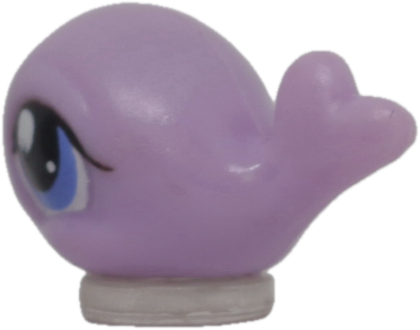 #T6 Teensiest Whale