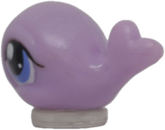 #T6 Teensiest Whale