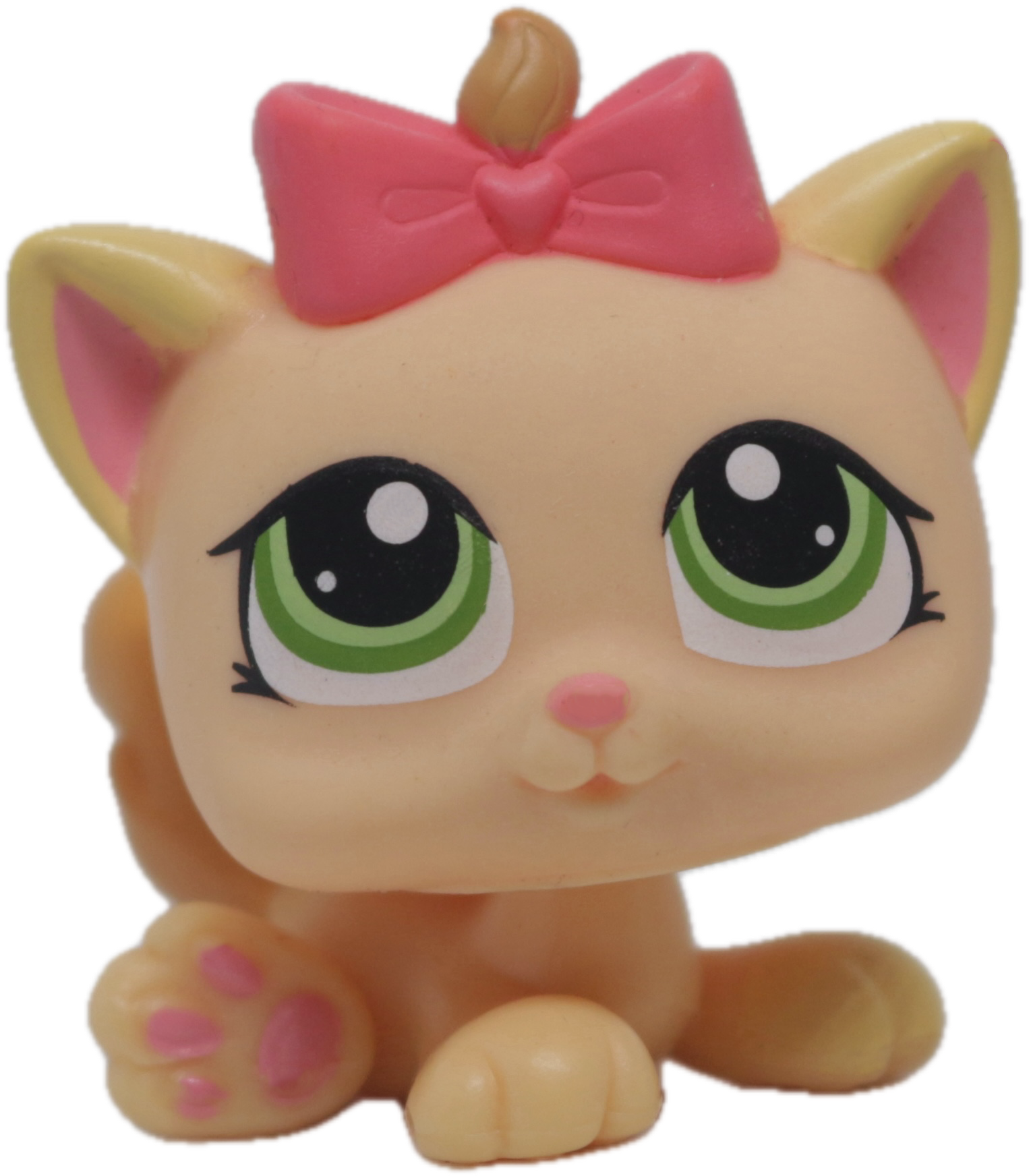 #1336 Kitten