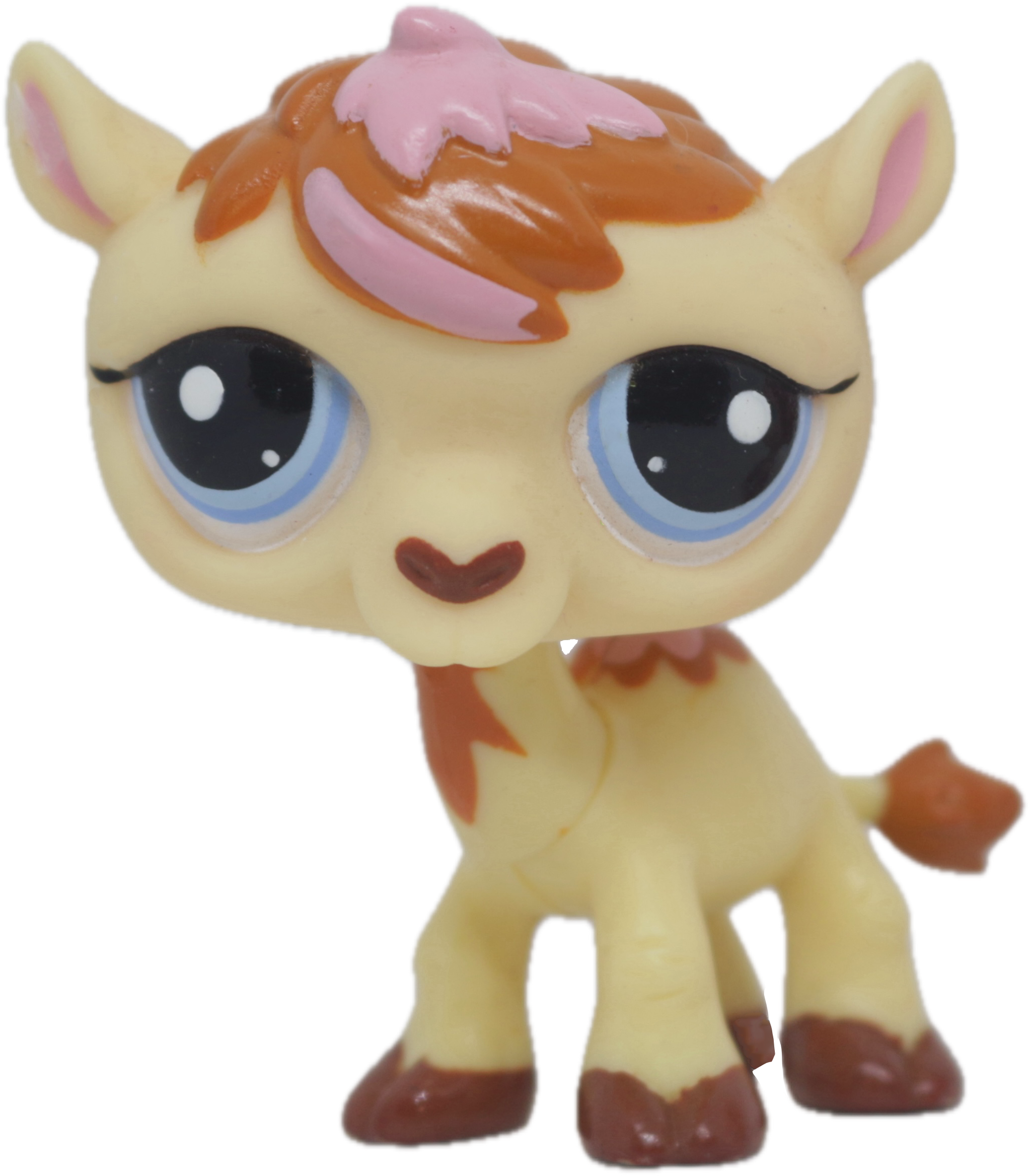 #2579 Camel