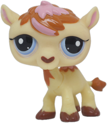 #2579 Camel