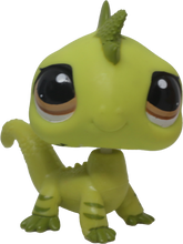 #3572 Iguana