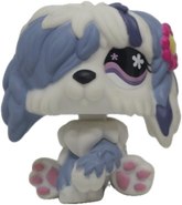 #0702 Sheepdog