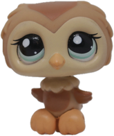 #1661 Owl