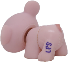LPS #1371 Mouse
