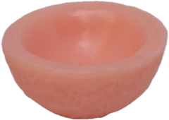 Coconut Bowl