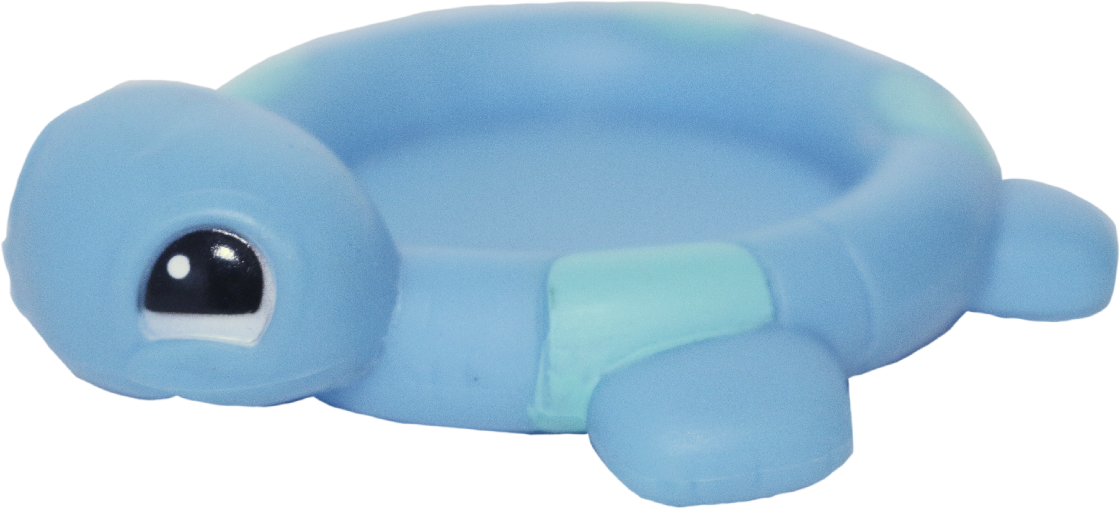 Pool Toy