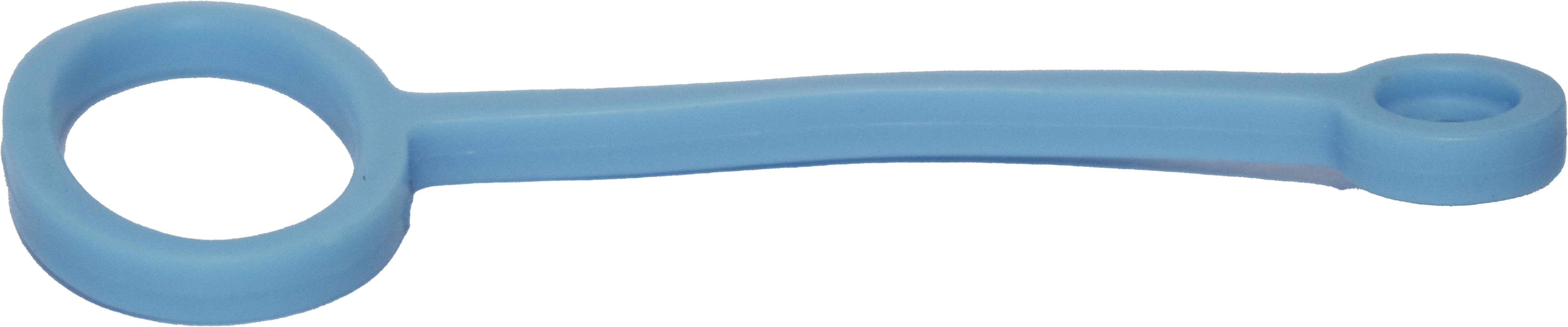Pool Toy