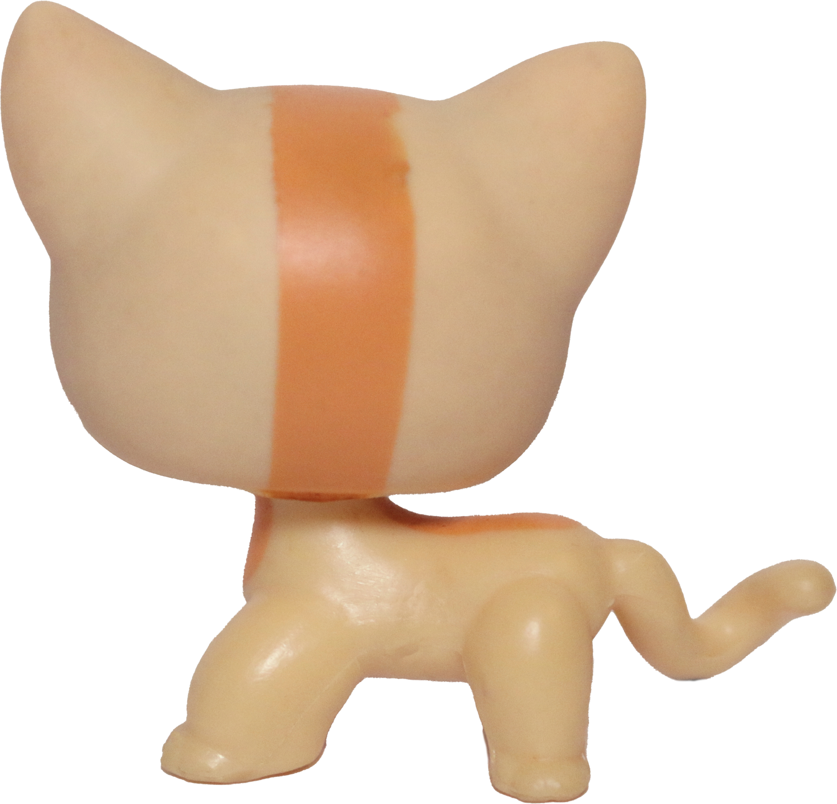 #1905 Shorthair Cat