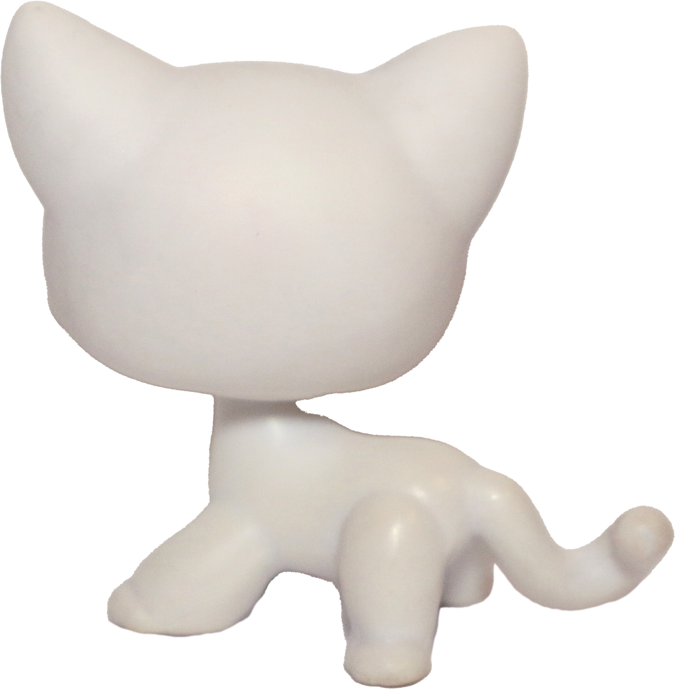 #0064 Shorthair Cat