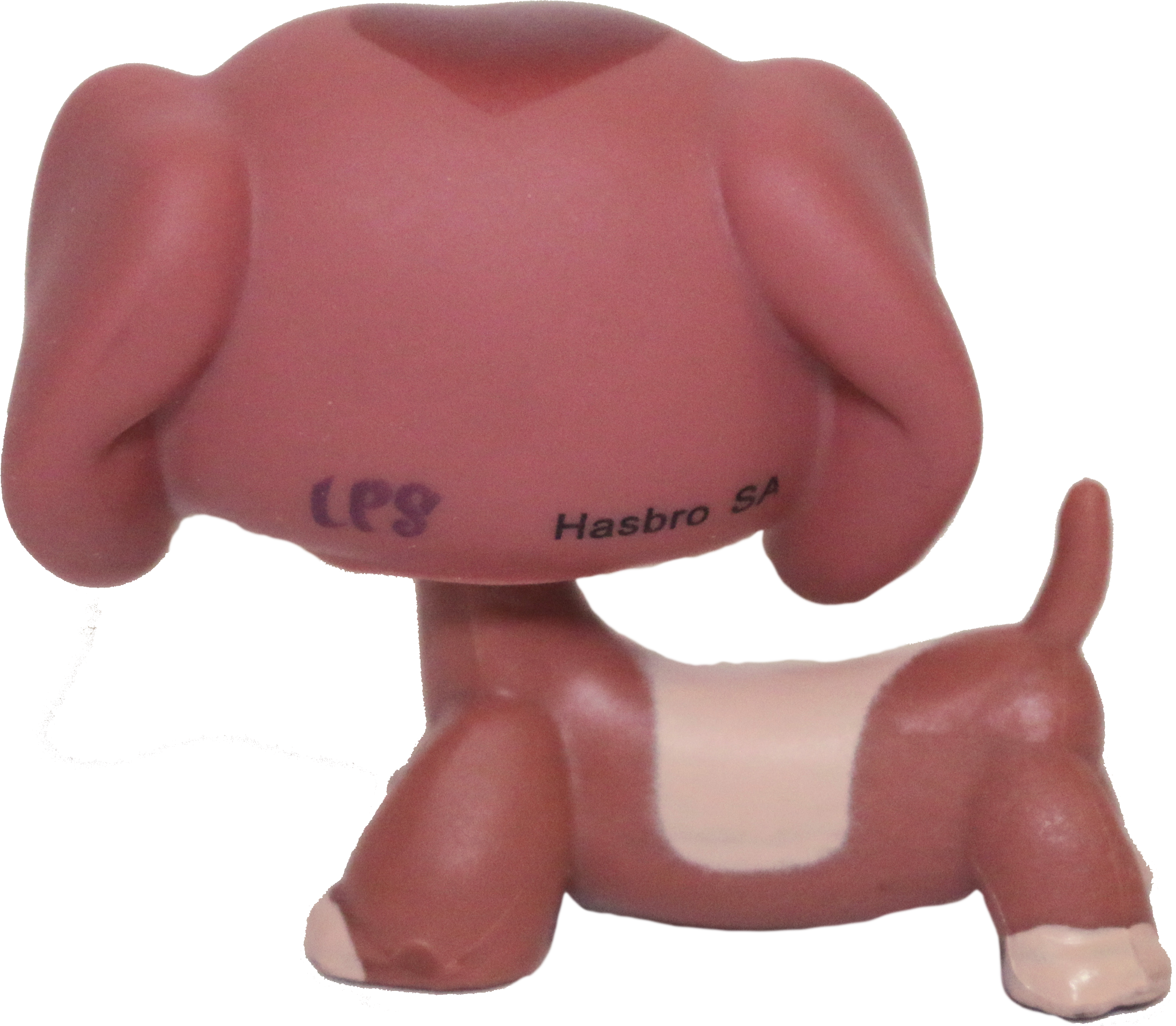 #3601 Dachshund