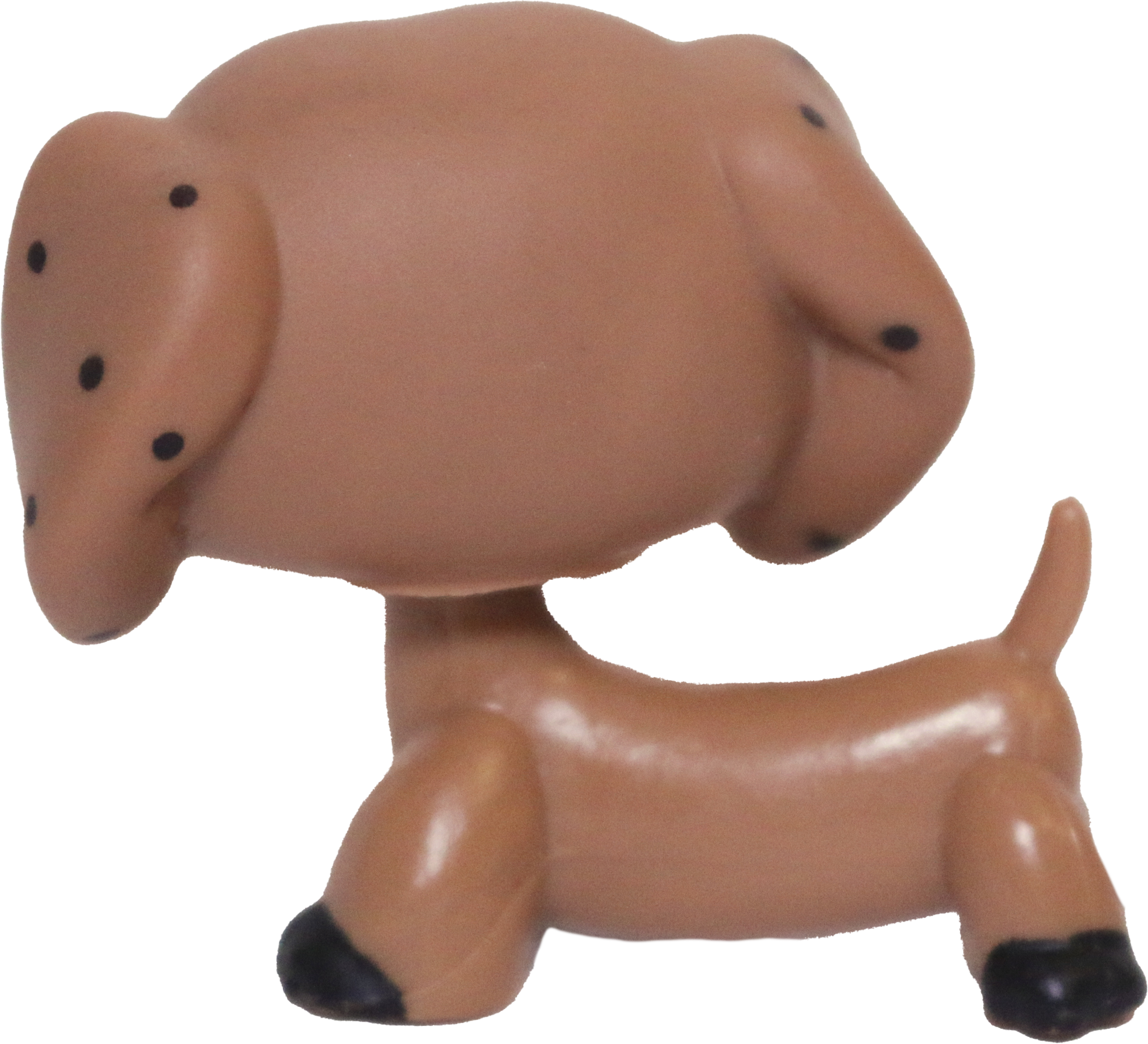 No # Dachshund