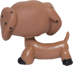 No # Dachshund
