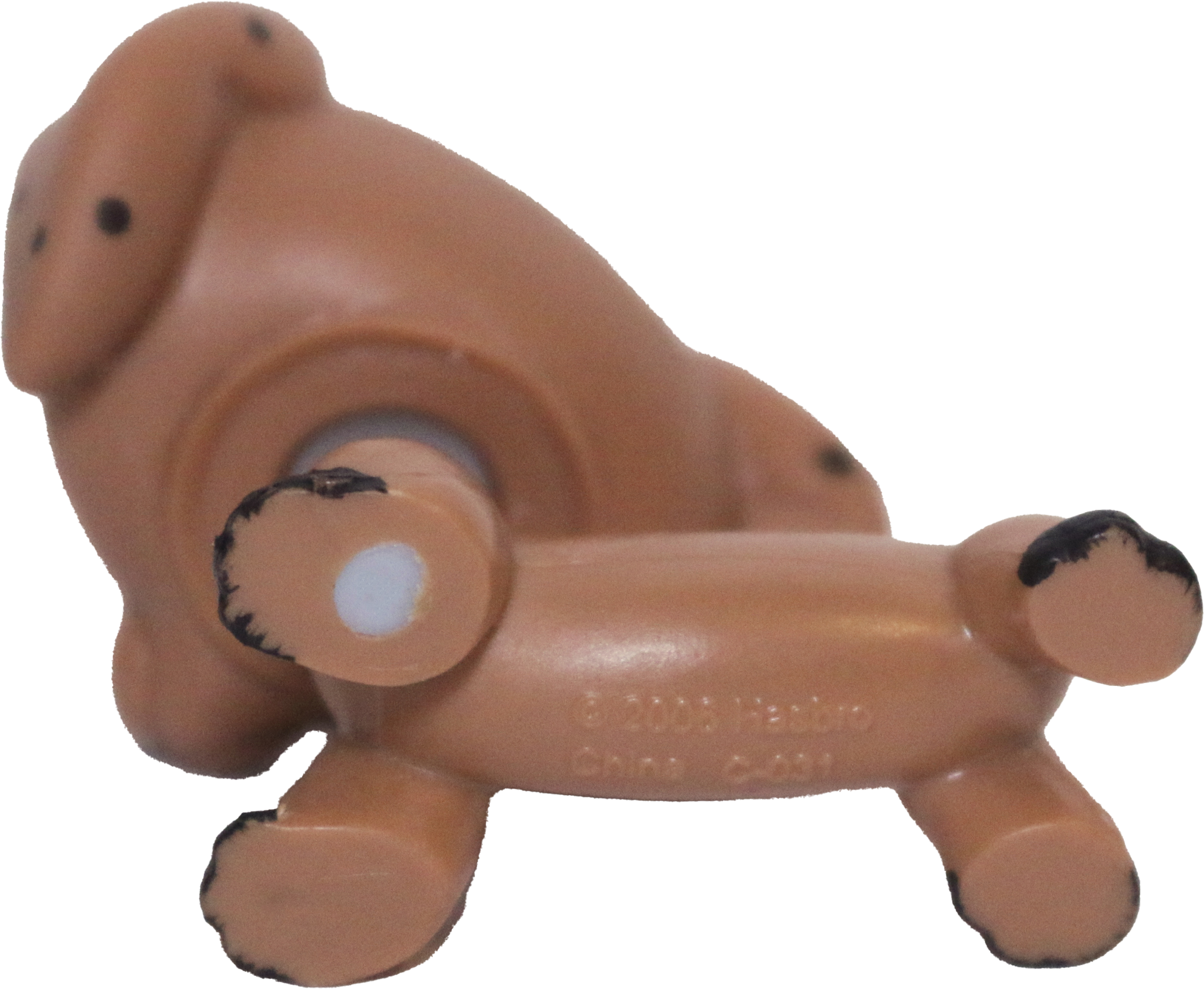 No # Dachshund