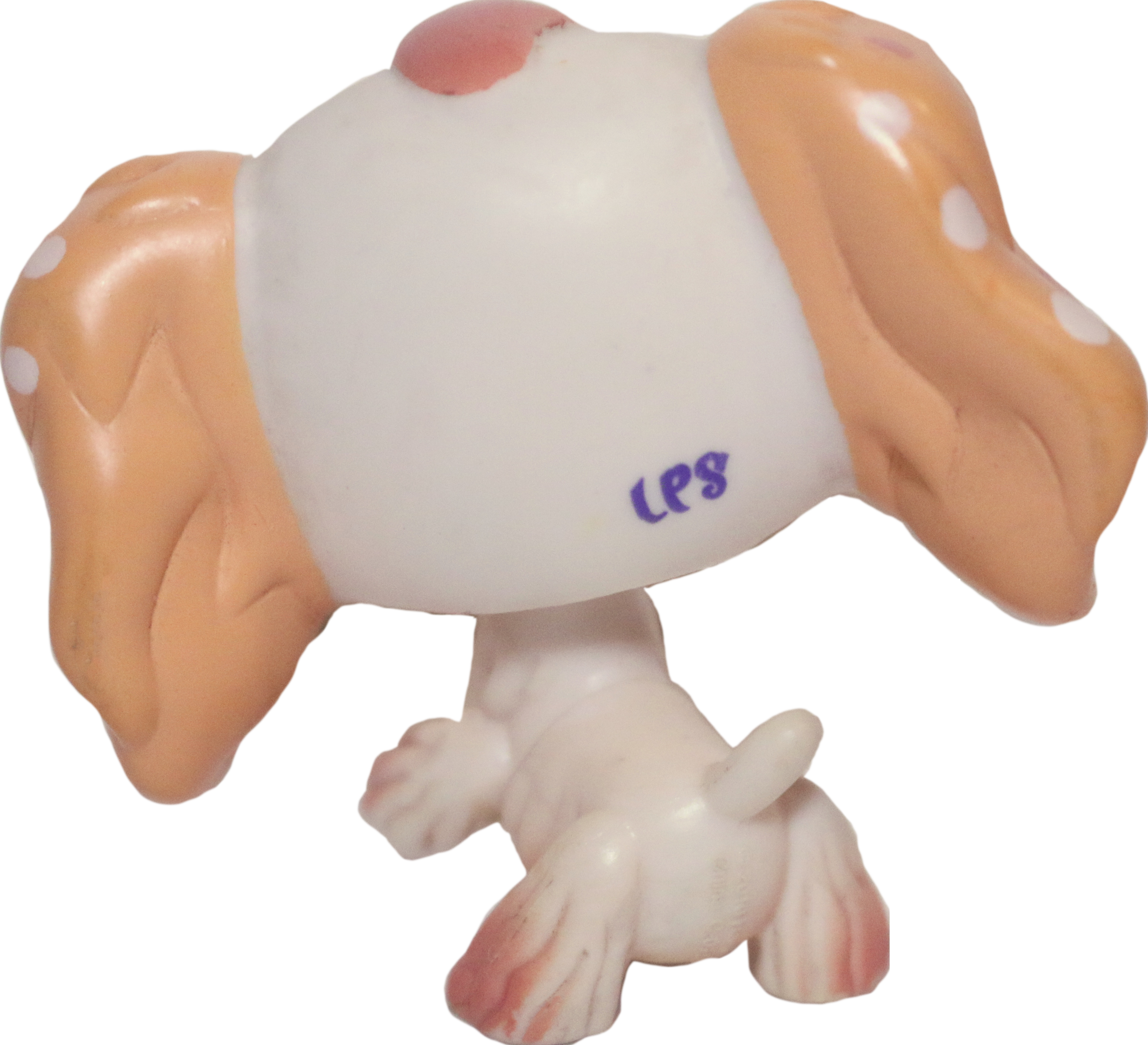 #1615 Cocker Spaniel
