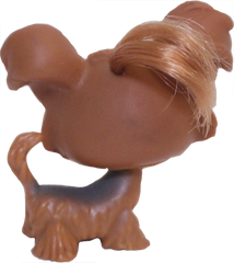 #0006 Shi Tzu