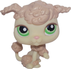 #0146 Poodle