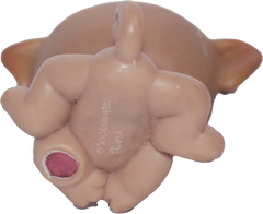 #0002 Pug