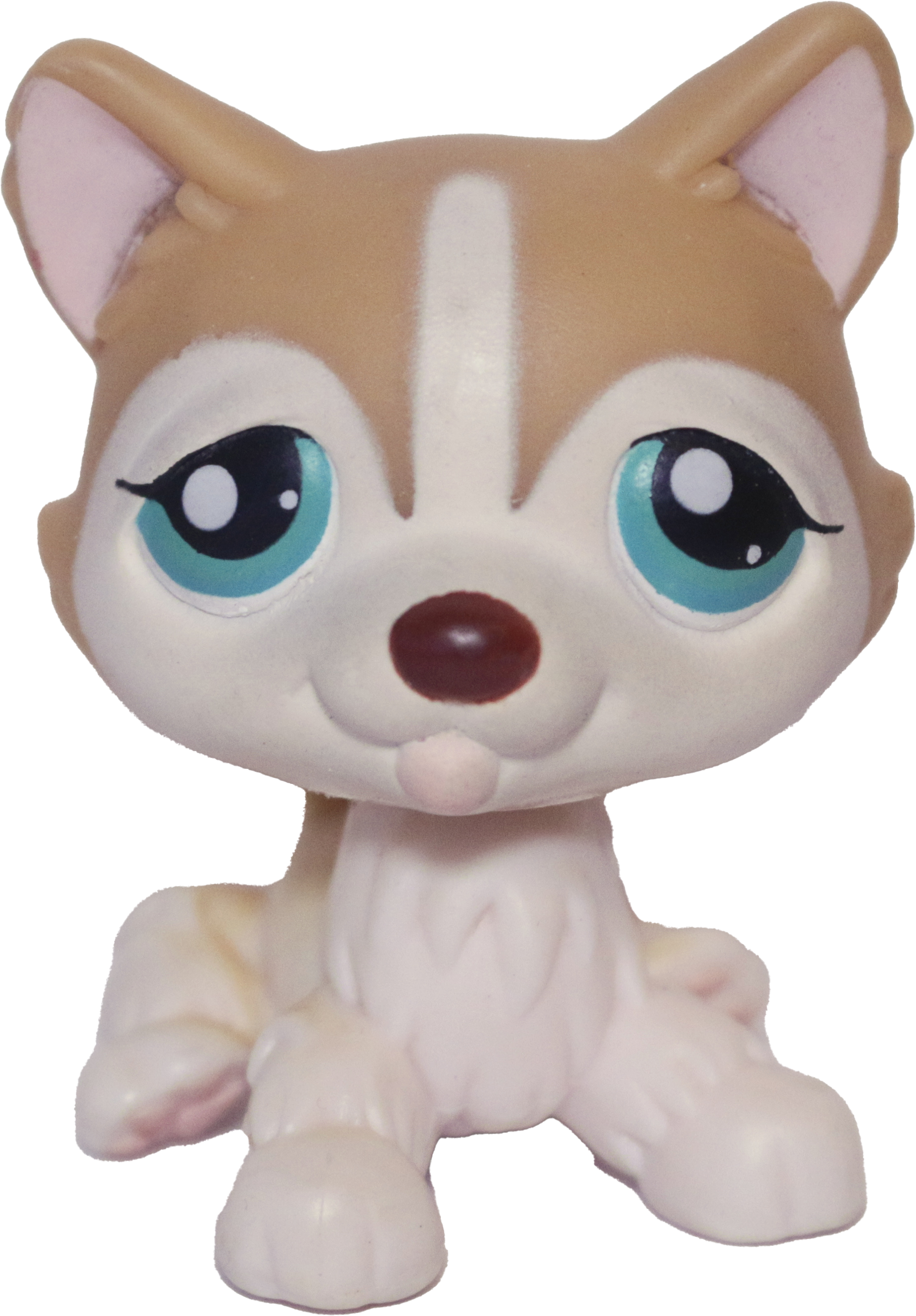 #0386 Husky