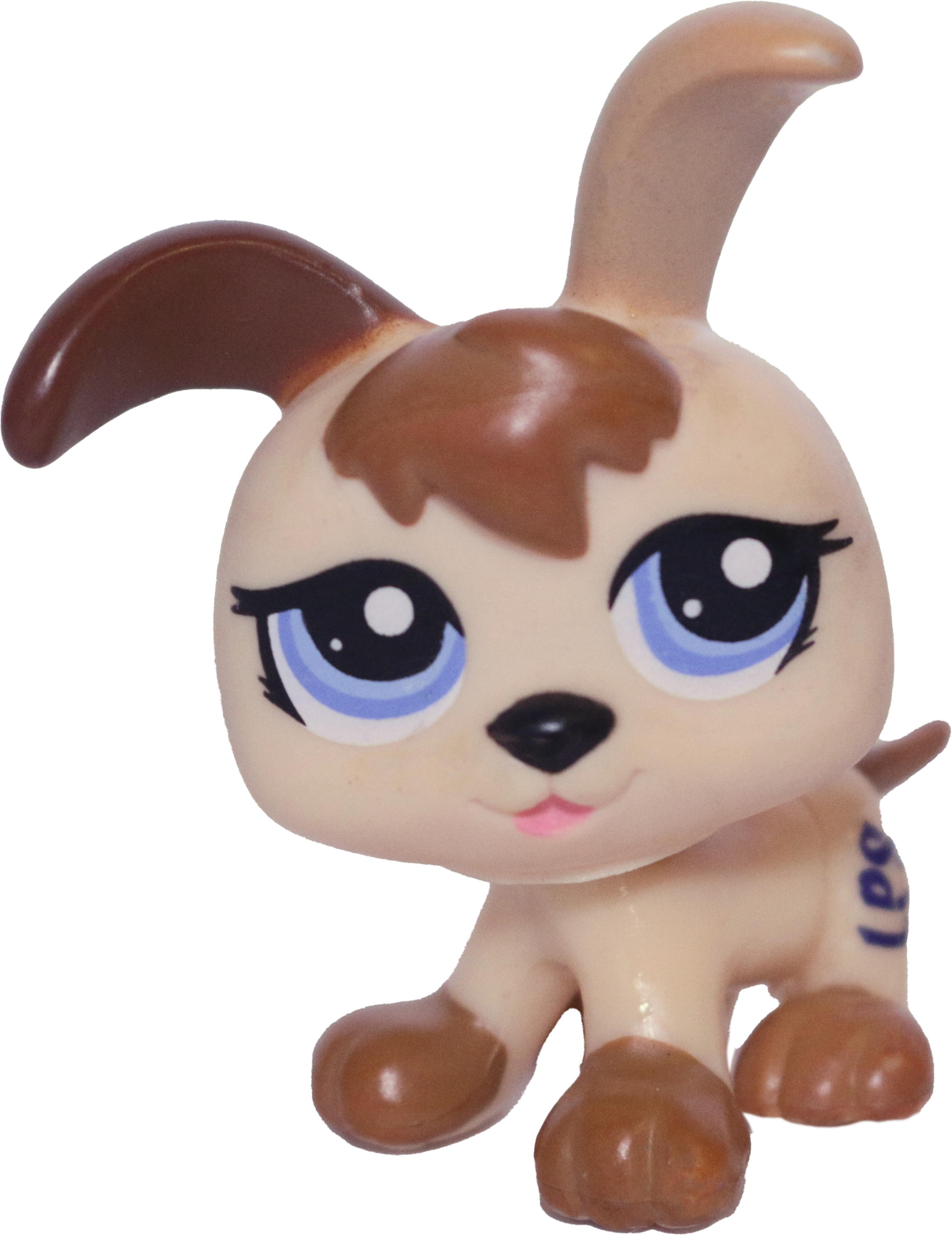 #1339 Puppy