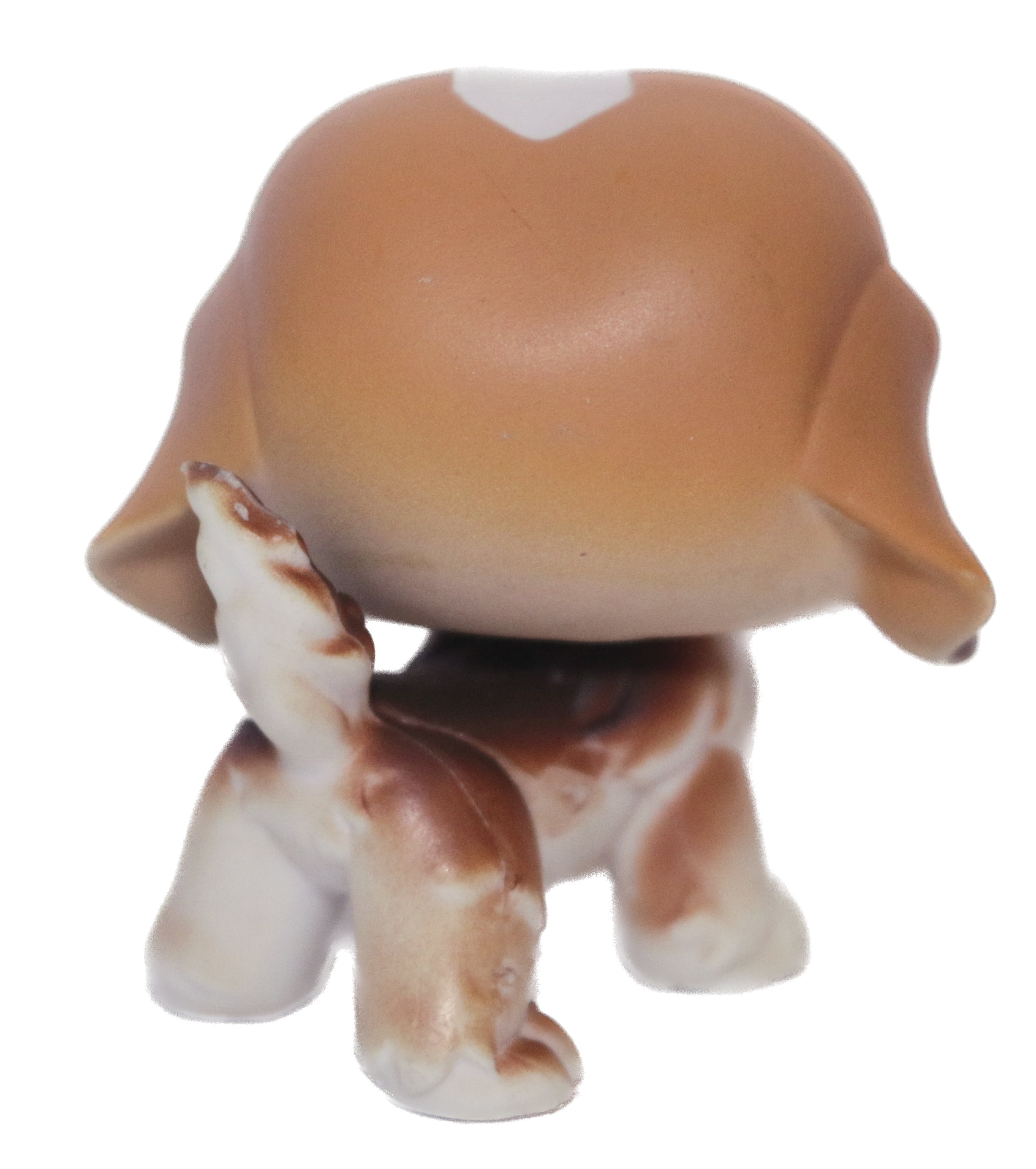 #0076 Saint Bernard