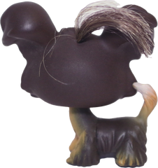 #0398 Shi Tzu