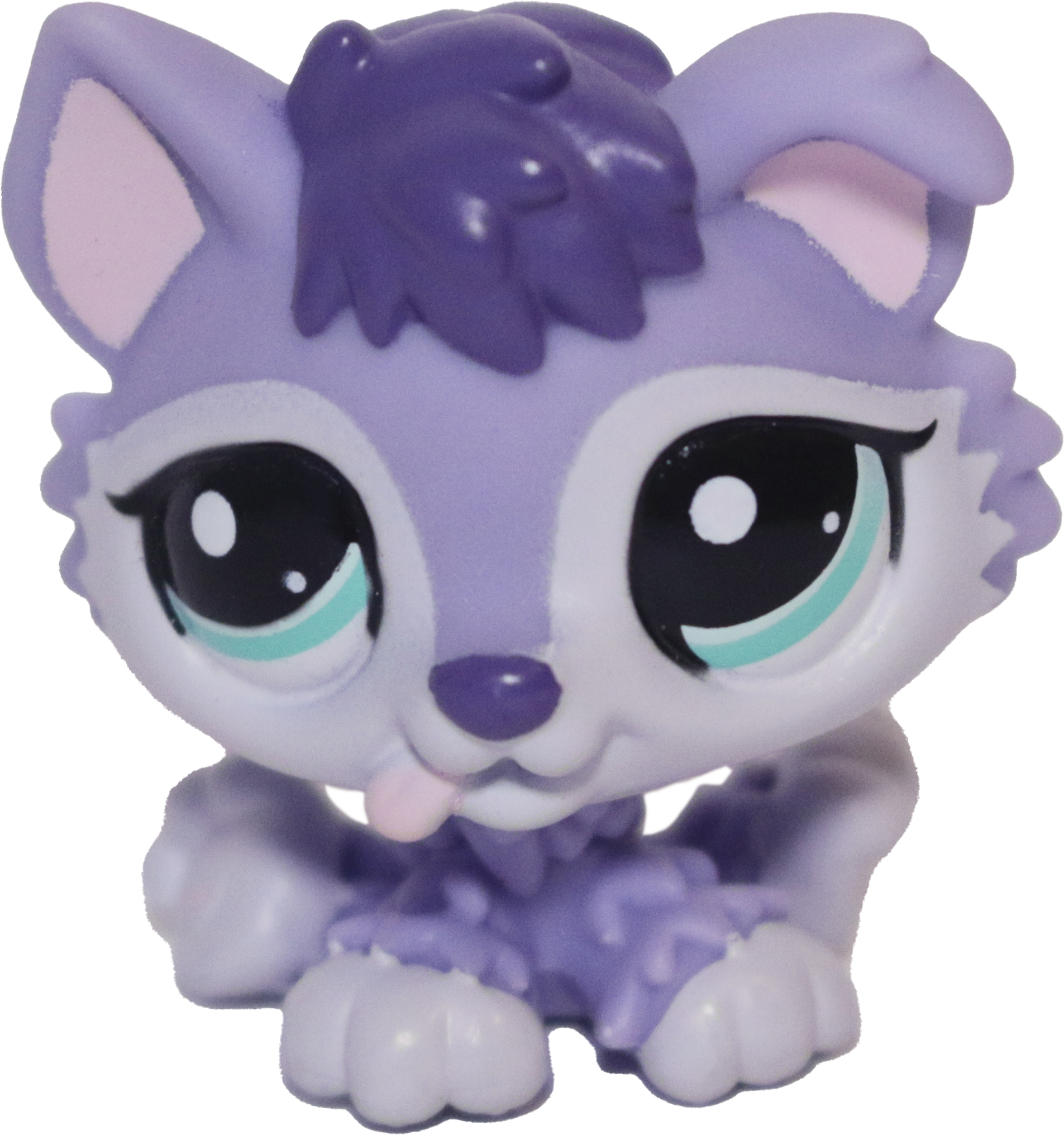 #1810 Husky Puppy