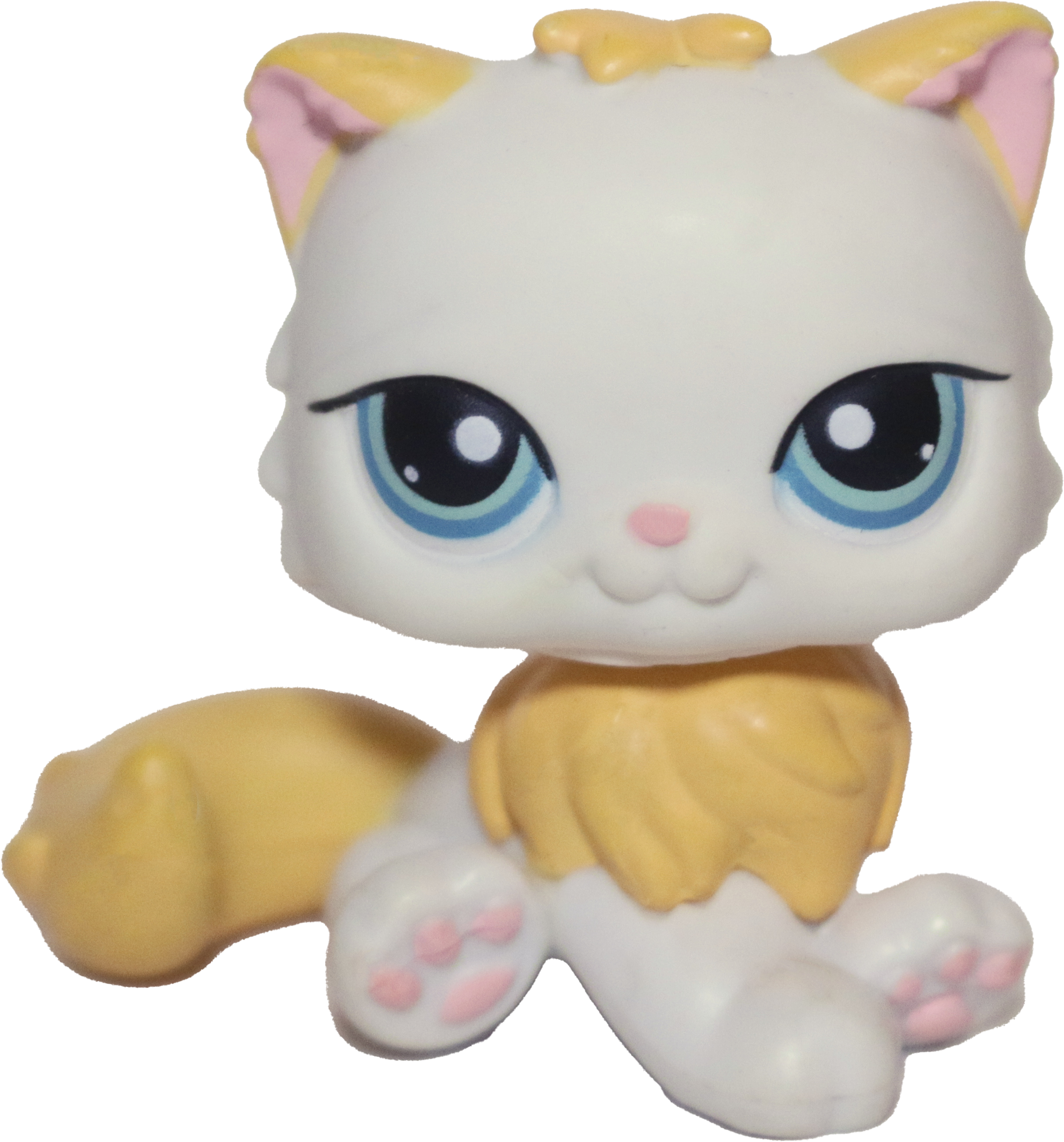 #0207 Persian Cat