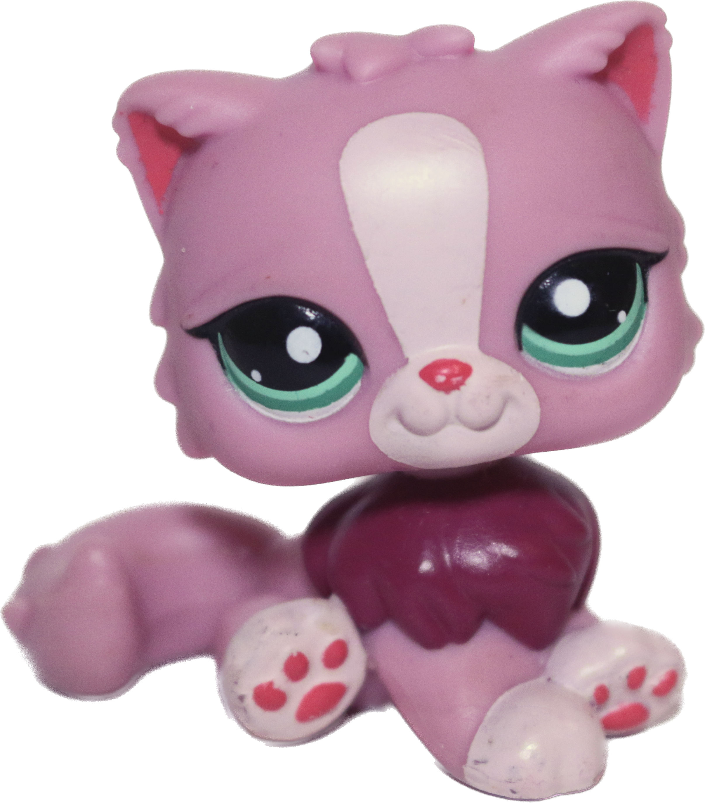 #2138 Persian Cat