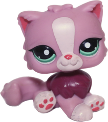 #2138 Persian Cat